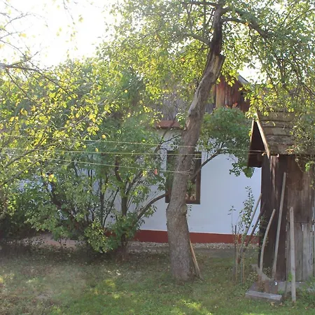 Uri Koma Vendeghaz *